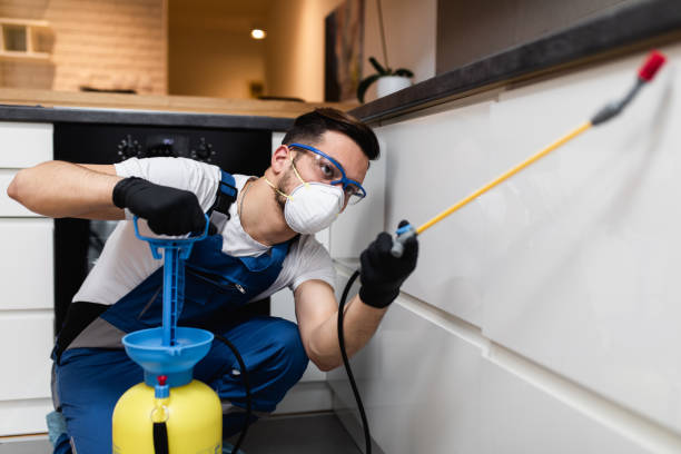Best Commercial Pest Control Services  in Plainview, NE