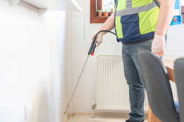 Best Wasp Removal Services  in Plainview, NE