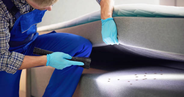 Best Affordable Pest Control Services  in Plainview, NE