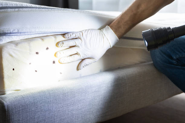 Best Wildlife Control Services  in Plainview, NE