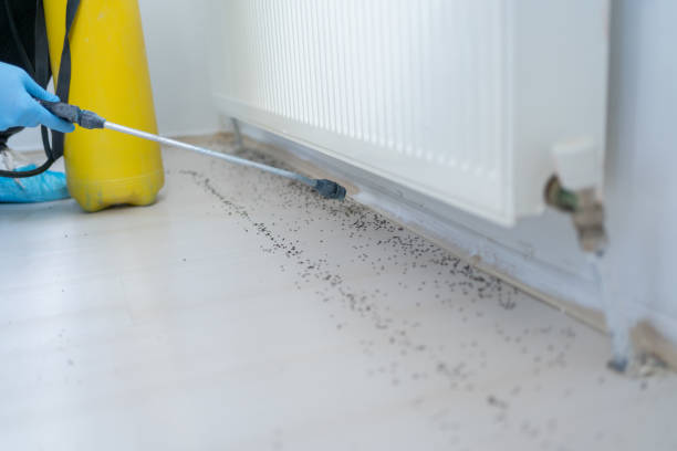 Trusted Plainview, NE Pest Control Experts
