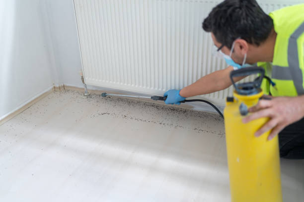 Best Pest Control for Restaurants  in Plainview, NE