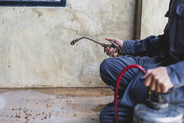 Best Exterminator Services  in Plainview, NE